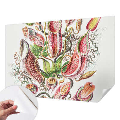 Fototapet barn Växtdetaljer