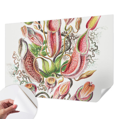 Fototapet barn Växtdetaljer