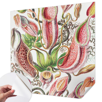 Fototapet barn Växtdetaljer