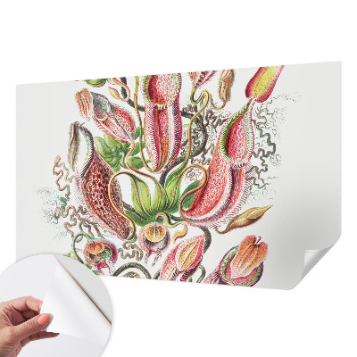 Fototapet barn Växtdetaljer