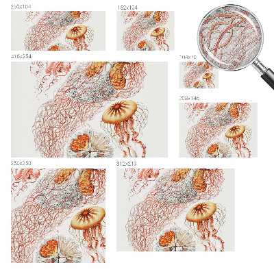 Fototapet för barn Snygg manet