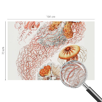 Fototapet för barn Snygg manet