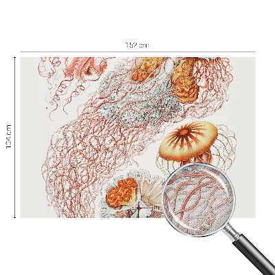 Fototapet för barn Snygg manet