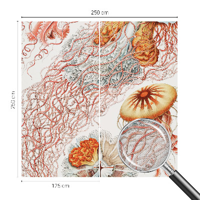 Fototapet för barn Snygg manet