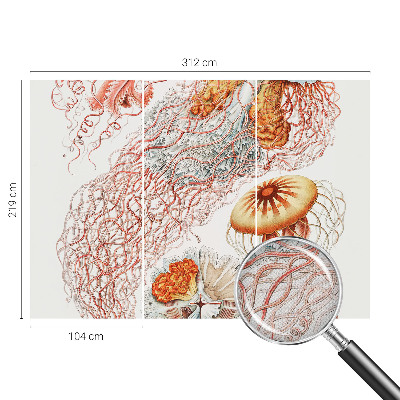 Fototapet för barn Snygg manet