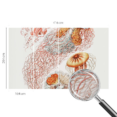 Fototapet för barn Snygg manet