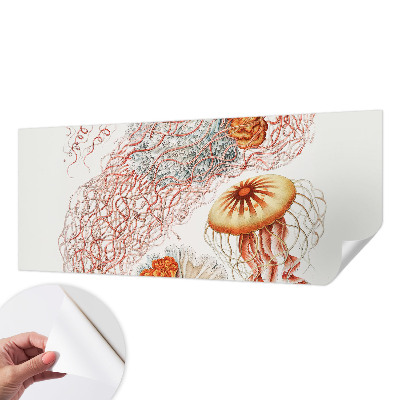 Fototapet för barn med en stilren illustration av en manet