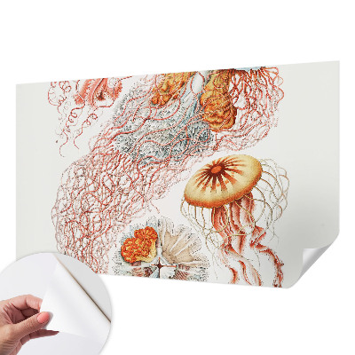 Fototapet för barn med en stilren illustration av en manet