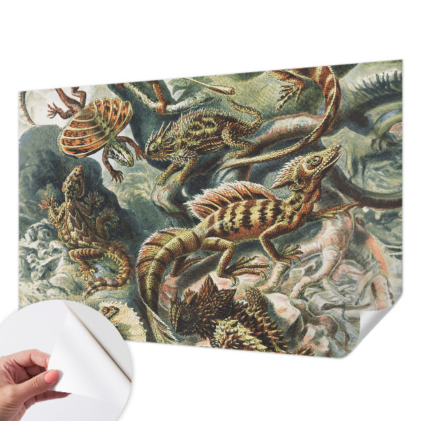 Fototapet barnrum Exotiska reptiler