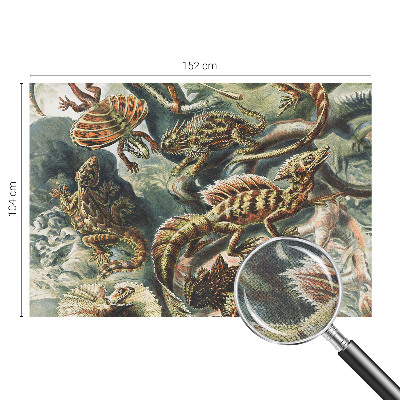 Fototapet barnrum Exotiska reptiler