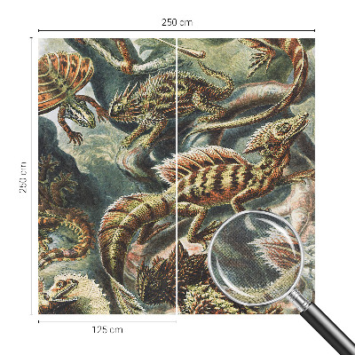 Fototapet barnrum Exotiska reptiler