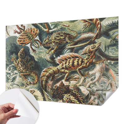 Fototapet barnrum Exotiska reptiler