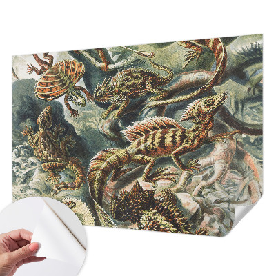 Fototapet barnrum Exotiska reptiler