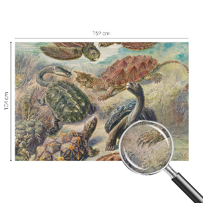 Självhäftande fotovägg Sköldpaddsfauna