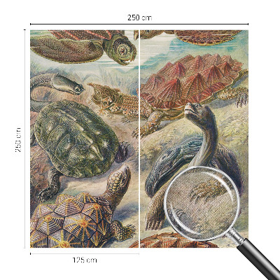 Självhäftande fotovägg Sköldpaddsfauna