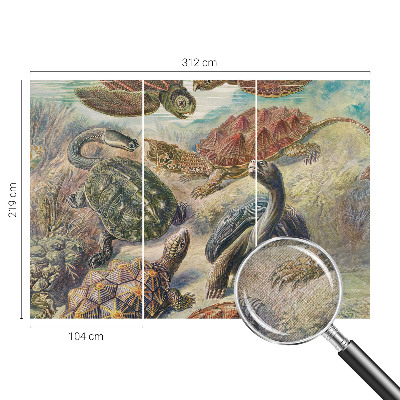 Självhäftande fotovägg Sköldpaddsfauna