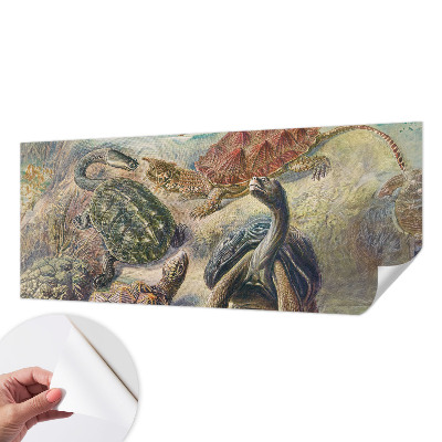 Självhäftande fotovägg Sköldpaddsfauna