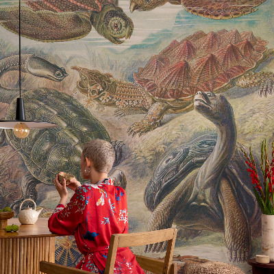 Självhäftande fotovägg Sköldpaddsfauna