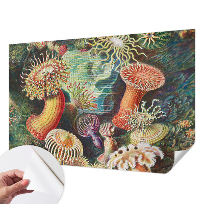 Peel and stick fototapet med motiv av anemoner i dekorativ stil