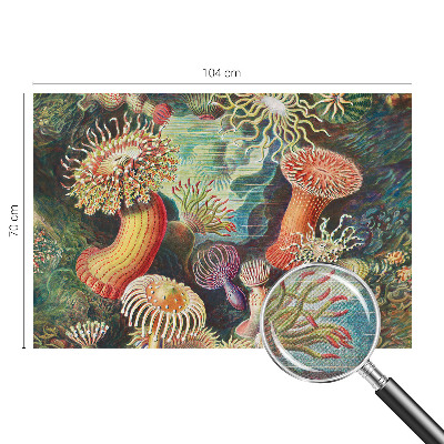 Peel and stick fototapet med motiv av anemoner i dekorativ stil