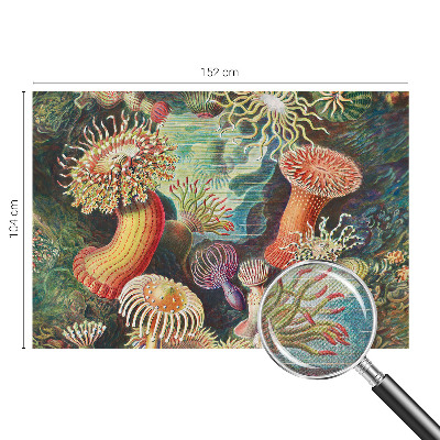 Peel and stick fototapet med motiv av anemoner i dekorativ stil