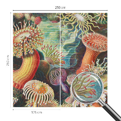 Peel and stick fototapet med motiv av anemoner i dekorativ stil