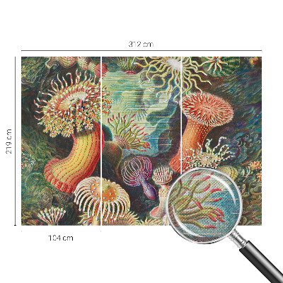 Peel and stick fototapet med motiv av anemoner i dekorativ stil