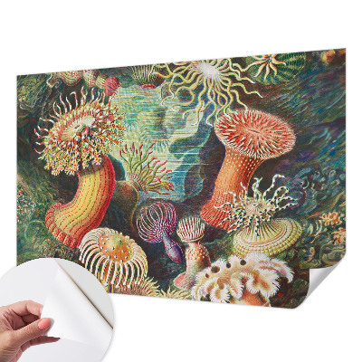 Peel and stick fototapet med motiv av anemoner i dekorativ stil