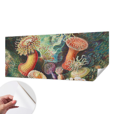 Peel and stick fototapet med motiv av anemoner i dekorativ stil