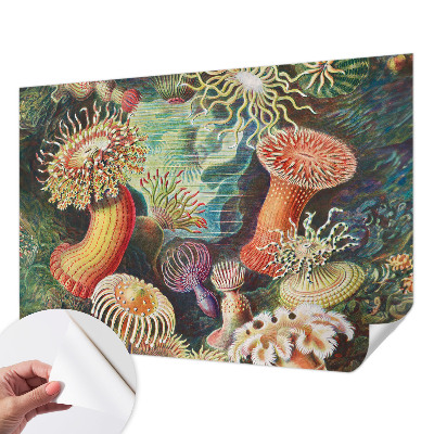 Peel and stick fototapet med motiv av anemoner i dekorativ stil