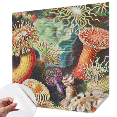 Peel and stick fototapet med motiv av anemoner i dekorativ stil