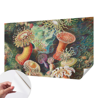 Peel and stick fototapet med motiv av anemoner i dekorativ stil