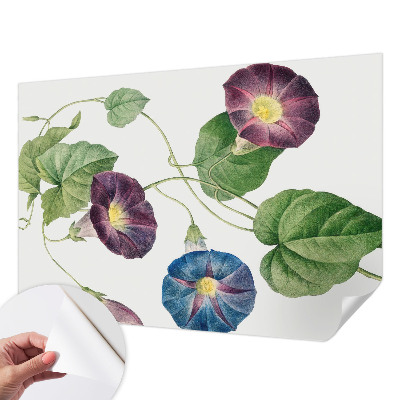 Självhäftande fototapet med floristisk elegans