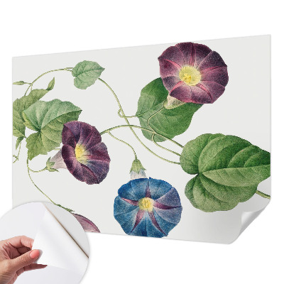Självhäftande fototapet med floristisk elegans