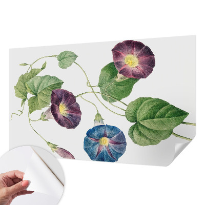 Självhäftande fototapet med floristisk elegans