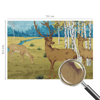 Fototapet barn med motiv av en lugn skog för barnrum