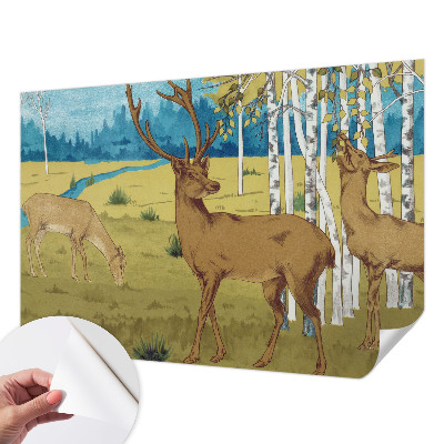 Fototapet barn med motiv av en lugn skog för barnrum