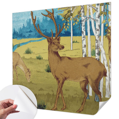 Fototapet barn med motiv av en lugn skog för barnrum