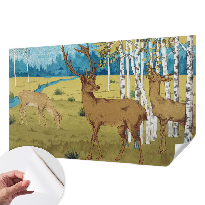 Fototapet barn med motiv av en lugn skog för barnrum