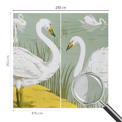 3D fototapet med motiv från Svansjön