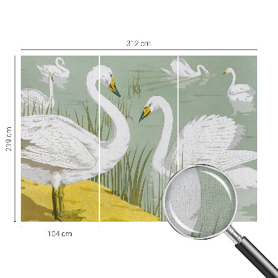 3D fototapet Svansjön