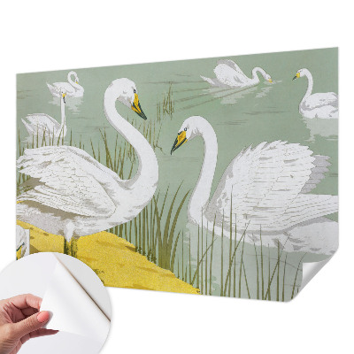 3D fototapet med motiv från Svansjön