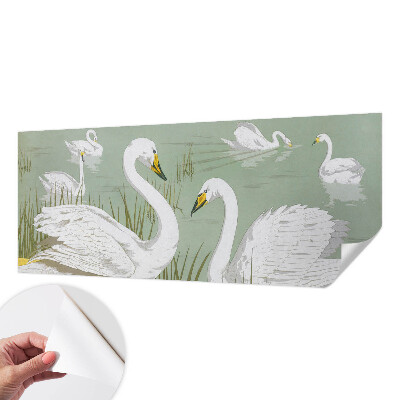 3D fototapet med motiv från Svansjön