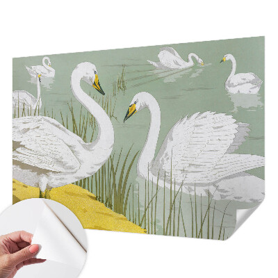 3D fototapet med motiv från Svansjön