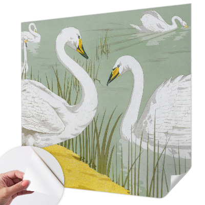 3D fototapet med motiv från Svansjön