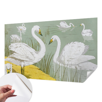 3D fototapet med motiv från Svansjön