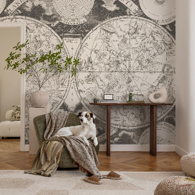 Fototapet barnrum Stjärnkarta