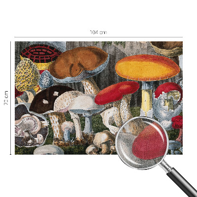 Fototapet barn Botaniska svampar