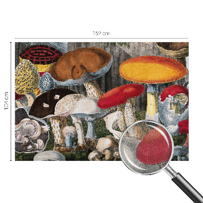 Fototapet barn Botaniska svampar