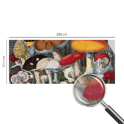 Fototapet barn Botaniska svampar